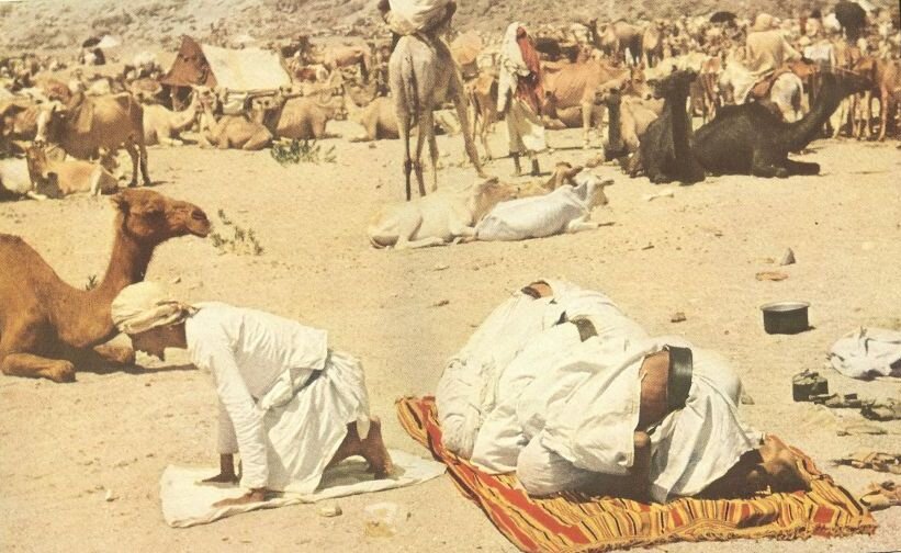 نماز جماعت در صحرا